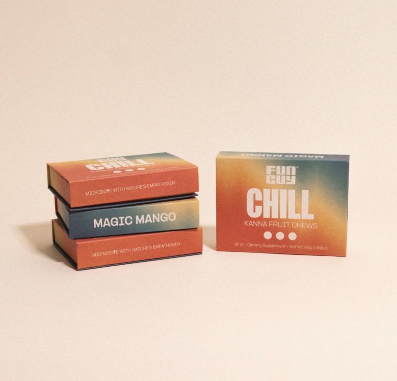 Fun Guy | CHILL | Fruit Chews