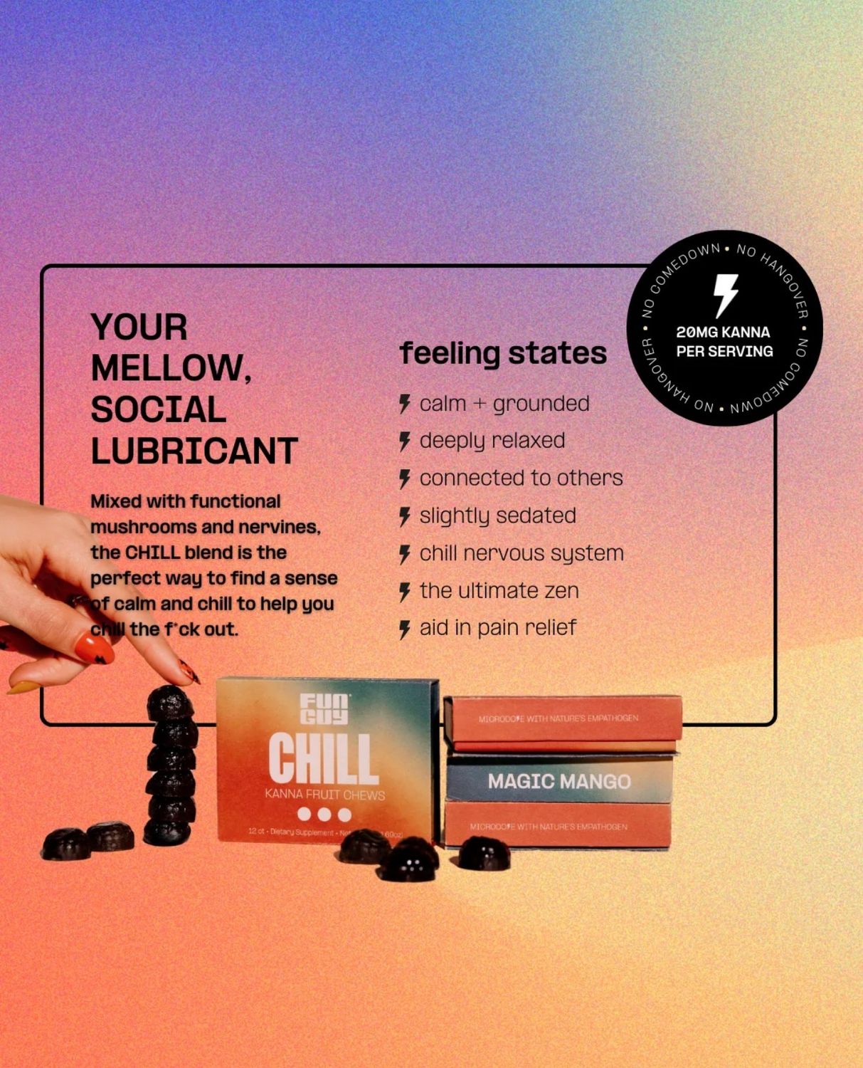 Fun Guy | CHILL | Fruit Chews