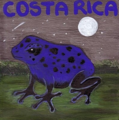 Costa Rica El Mapache