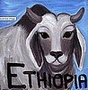 Ethiopia Yirgicheffe Washed Grade 1