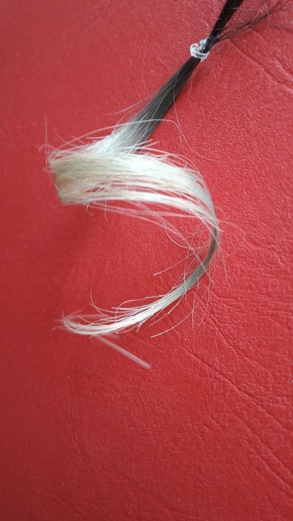 Nivel avanzado de decoloración y barrido-Corrección-