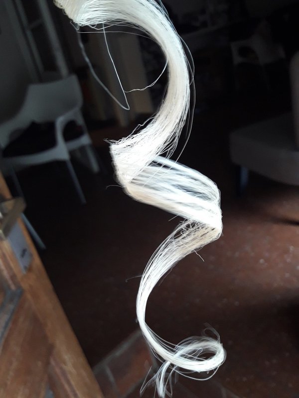 Rubios nórdicos blancos