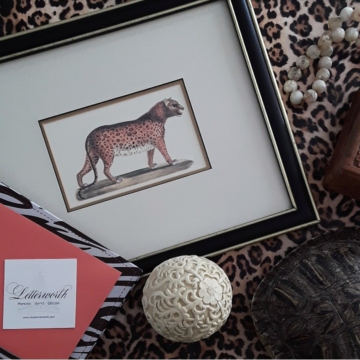 Vintage Framed Cheetah Print