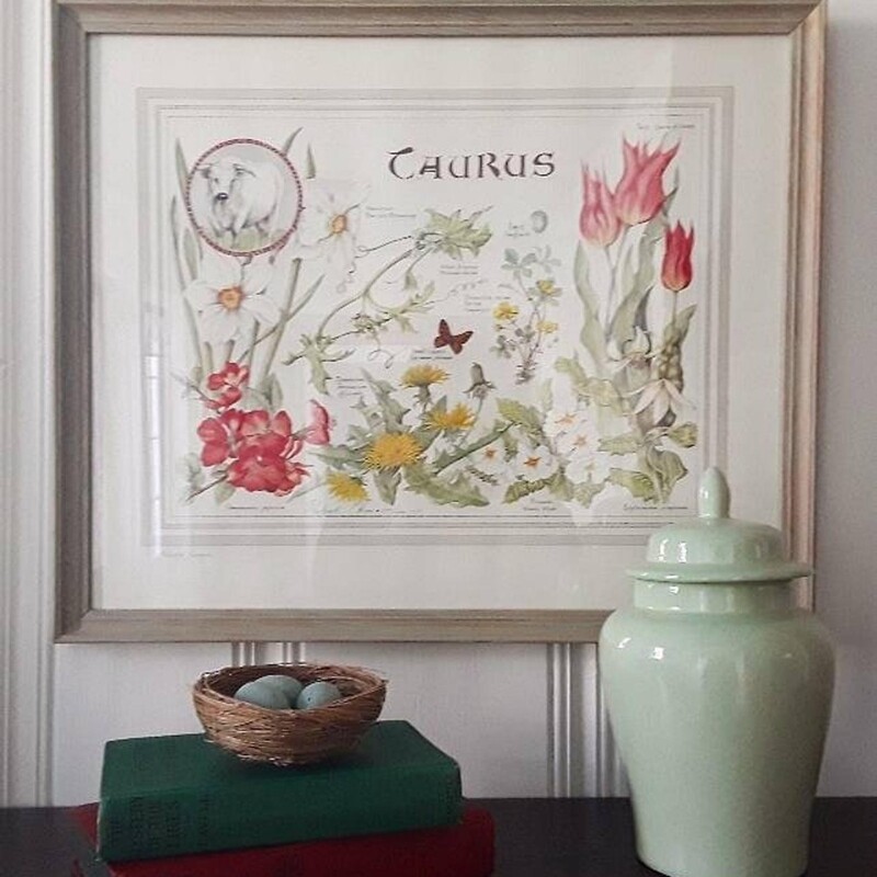 Vintage Signed and Framed Elizabeth Cameron British Botanical &quot;Taurus&quot; Zodiac Print