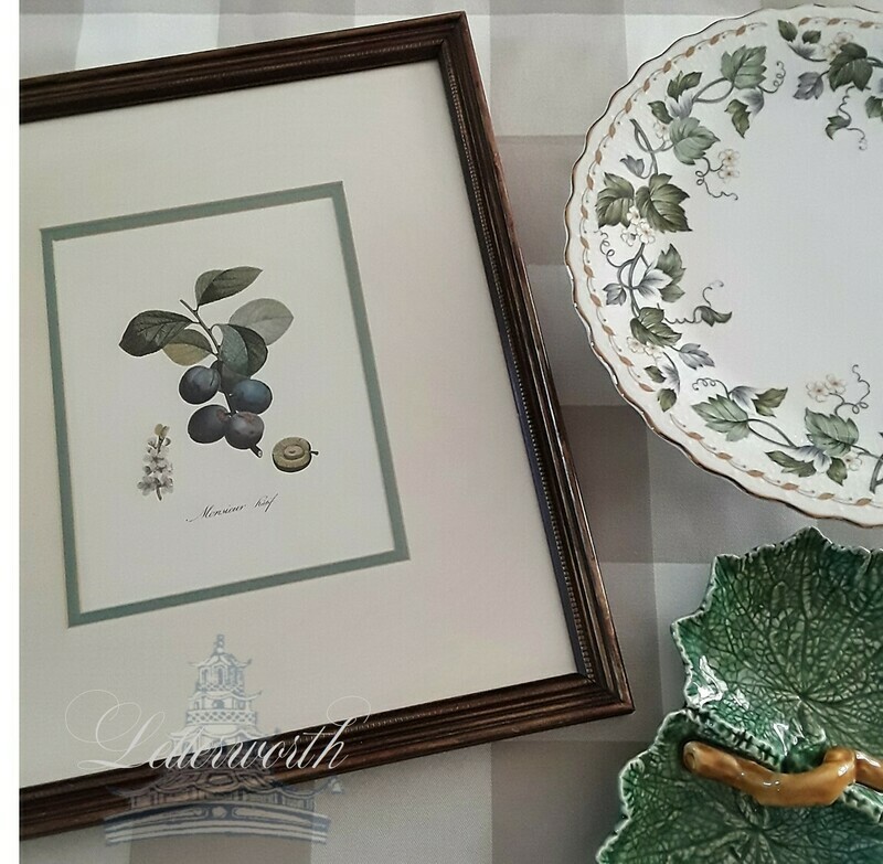 Vintage Framed Plum Lithograph &quot;Monsieur Hâtif&quot; by Pierre-Joseph Redouté