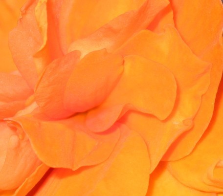 Yield to be Whole (short) - Portal 4