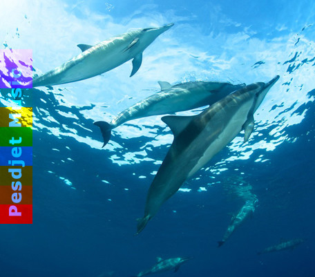 Green Rain - Portal 6 (short)