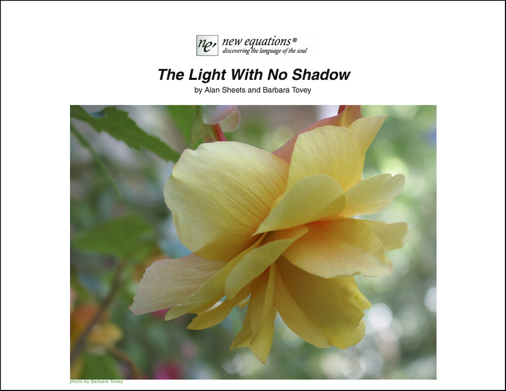 The Light With No Shadow The Light With No Shadow