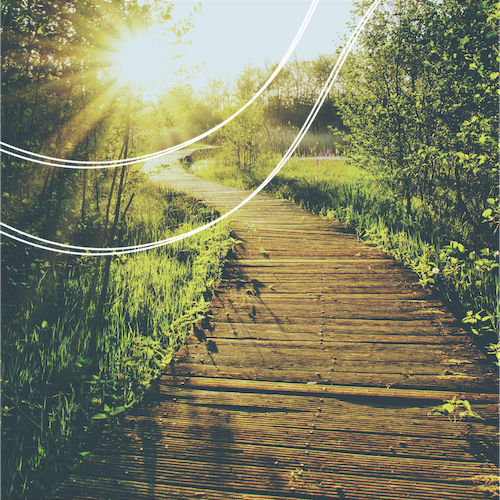 Annual Fee - Spiritual Research