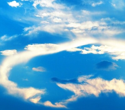 Mount Fuji Benefit Concert