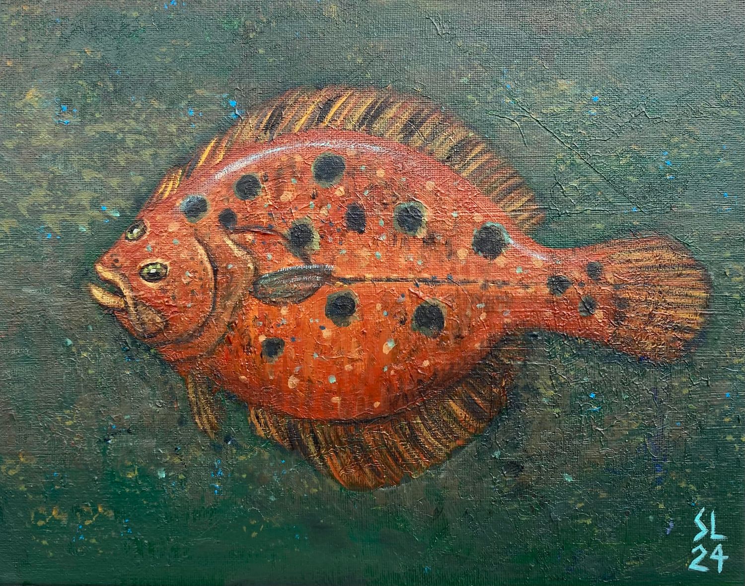 &#39;Flatfish Study&#39;, 11x14