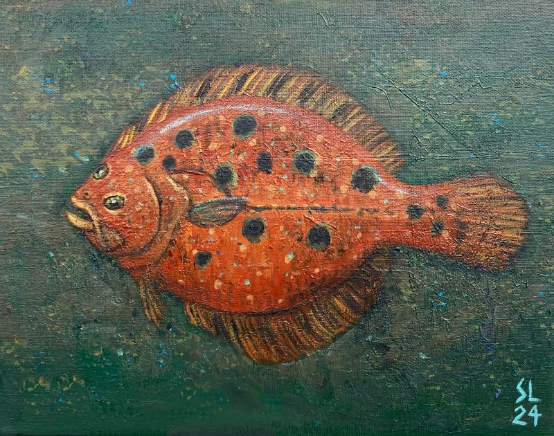 &#39;Flatfish Study&#39;, 11x14