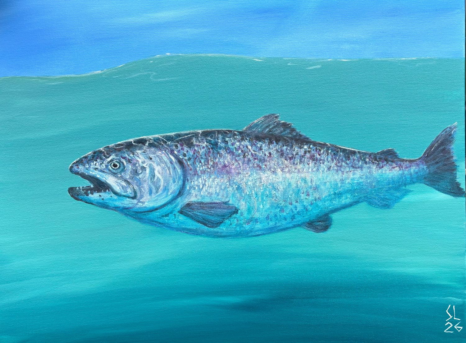 'The Mighty Chinook'