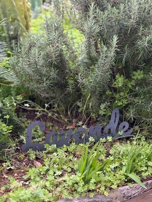 Lavande - Texte à planter - Décoration de Jardin