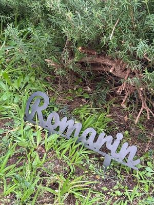Romarin - Texte à planter - Décoration de Jardin