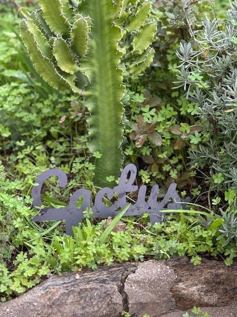 Cactus - Texte à planter - Décoration de Jardin Cactus - Texte à planter - Décoration de Jardin