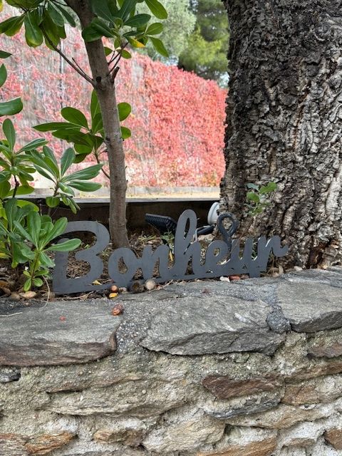 Bonheur - Texte à planter - Décoration de Jardin Bonheur - Texte à planter - Décoration de Jardin