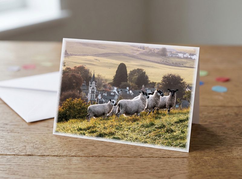 Sheep Above Moniaive Greetings Card