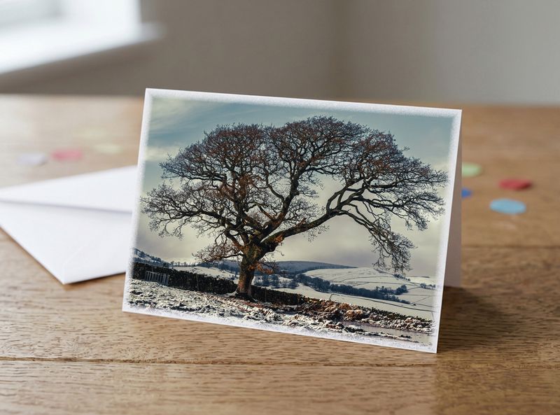 Snowy Oak, Poundland Hill (Moniaive) Greetings Card