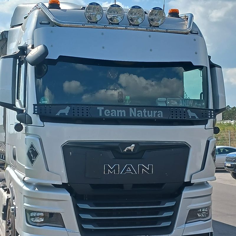 Steinschlagschutzgitter MAN-TGX-TG3 nach Kundenwunsch