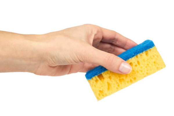 Kitchen Sponge