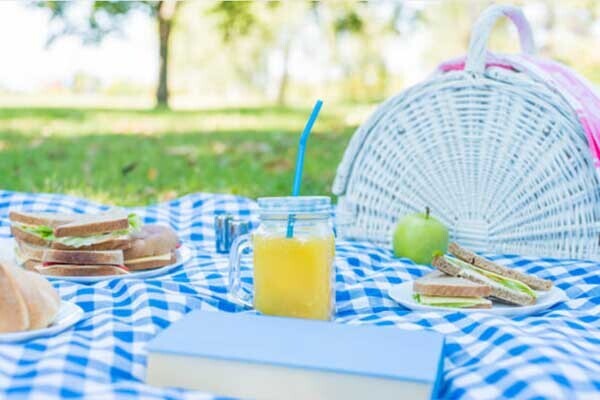 Picnic Mat