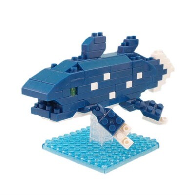 Petit Block | Friends of the deep sea N3 | Coelacanth