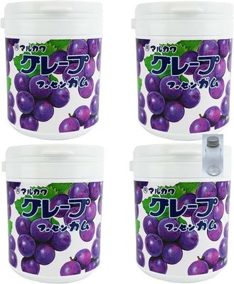 Marukawa Gum Bottle Gum Assorted Set with Bonus (4 Pieces + Carrying Case, Grape)