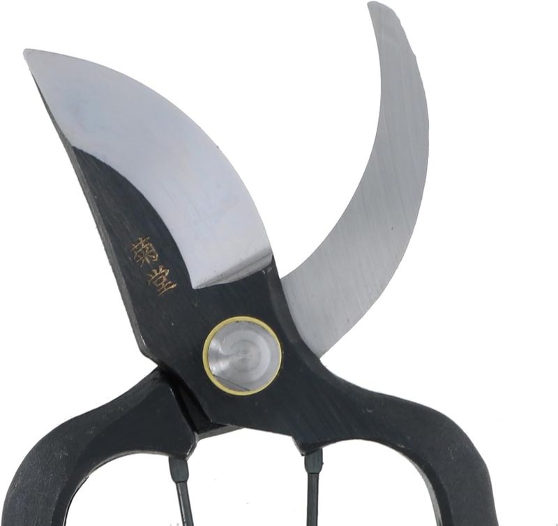Takagi Kikudo Forged Pruning Shears 200mm