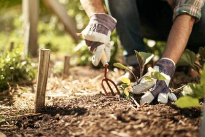 Garden Tools