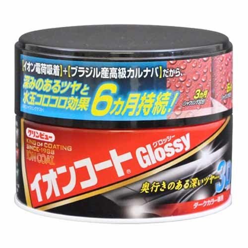 Ichinen Chemicals Cleanview Ion Coat Color Glossy Dark