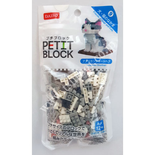Petit Block | Friends of Dogs and Cats N9 | American Shorthair