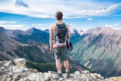 Поиск по бренду