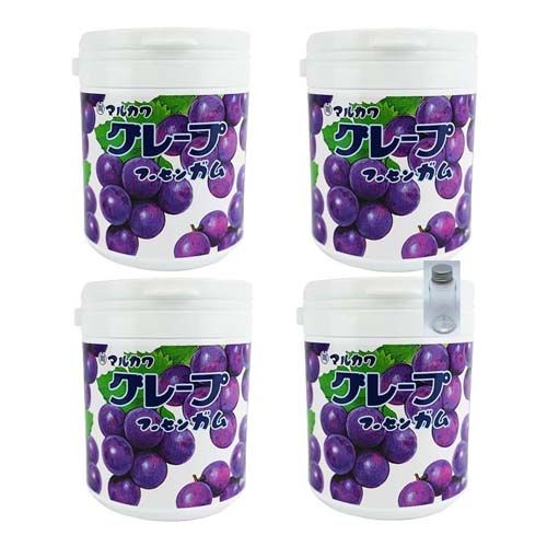 Marukawa Gum Bottle Gum Assorted Set with Bonus (4 Pieces + Carrying Case, Grape)