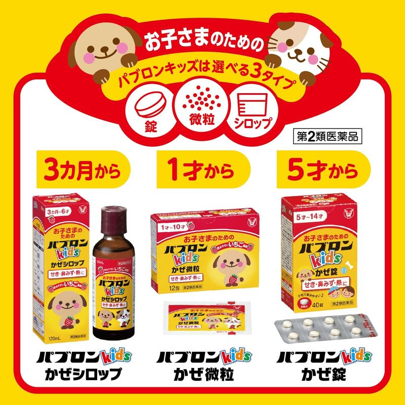 TAISHO Pavlon Kids Cold Syrup