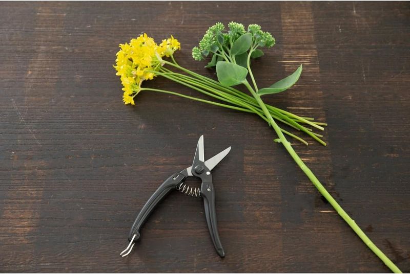 ARS 140B-BK Family Black Scissors