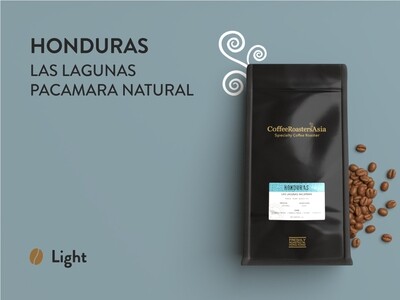 Honduras Las Lagunas Pacamara Natural Coffee