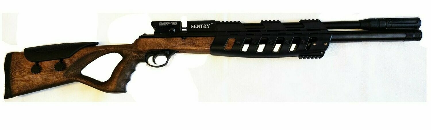 Lee Enfield Sentry