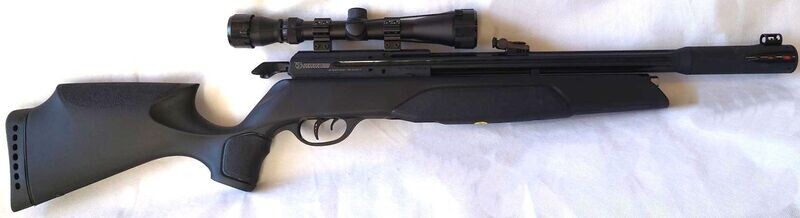 Gamo Arrow Scoped Combo