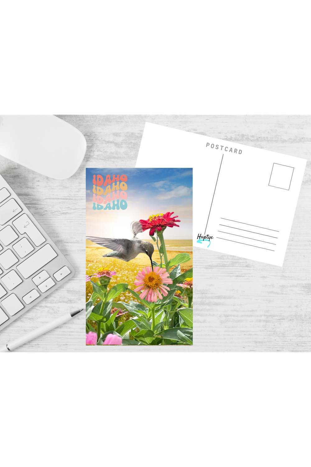 Idaho Hummingbird Postcard