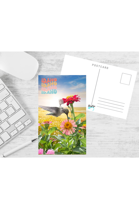 Idaho Hummingbird Postcard