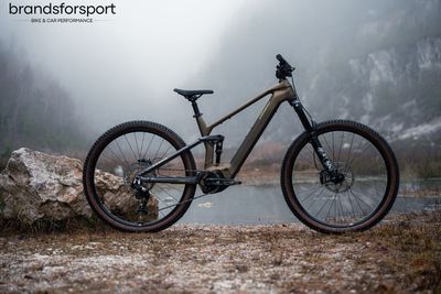 E-Mountainbike