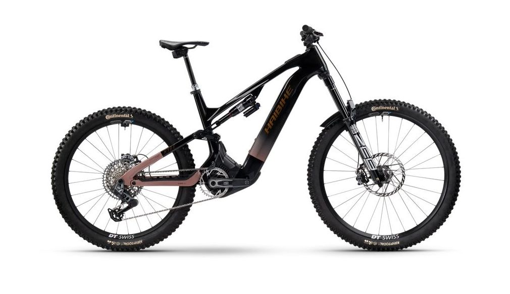 Haibike "HYBE CF 11" - carbon/copper/gold glänzend - DEMO BIKE