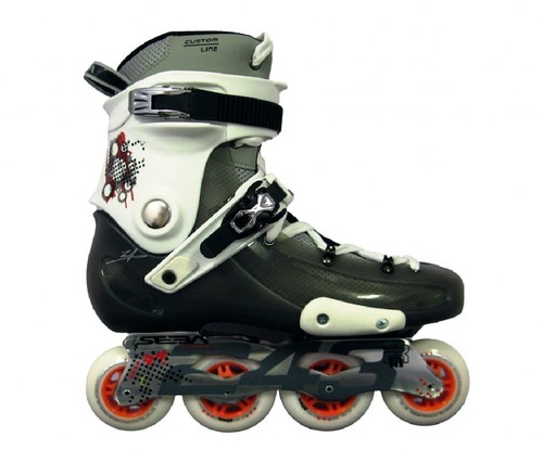 Seba frm -T 2012
