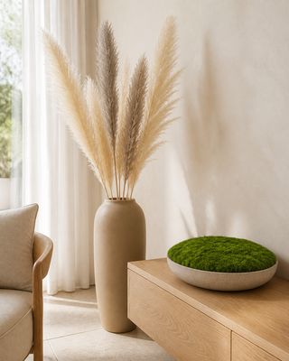 Graminées et plumes