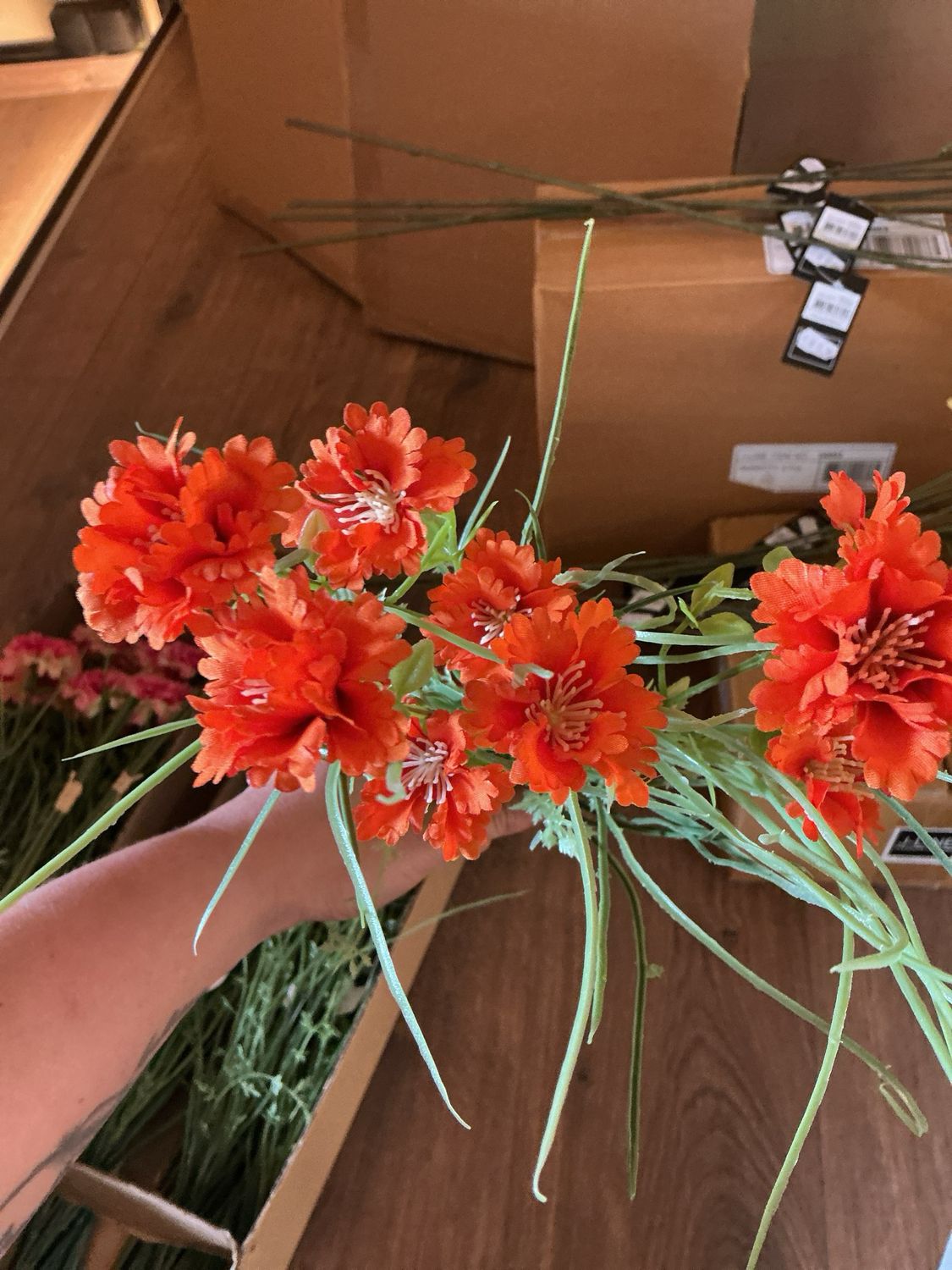 64459 Bundel 3 korenbloem oranje