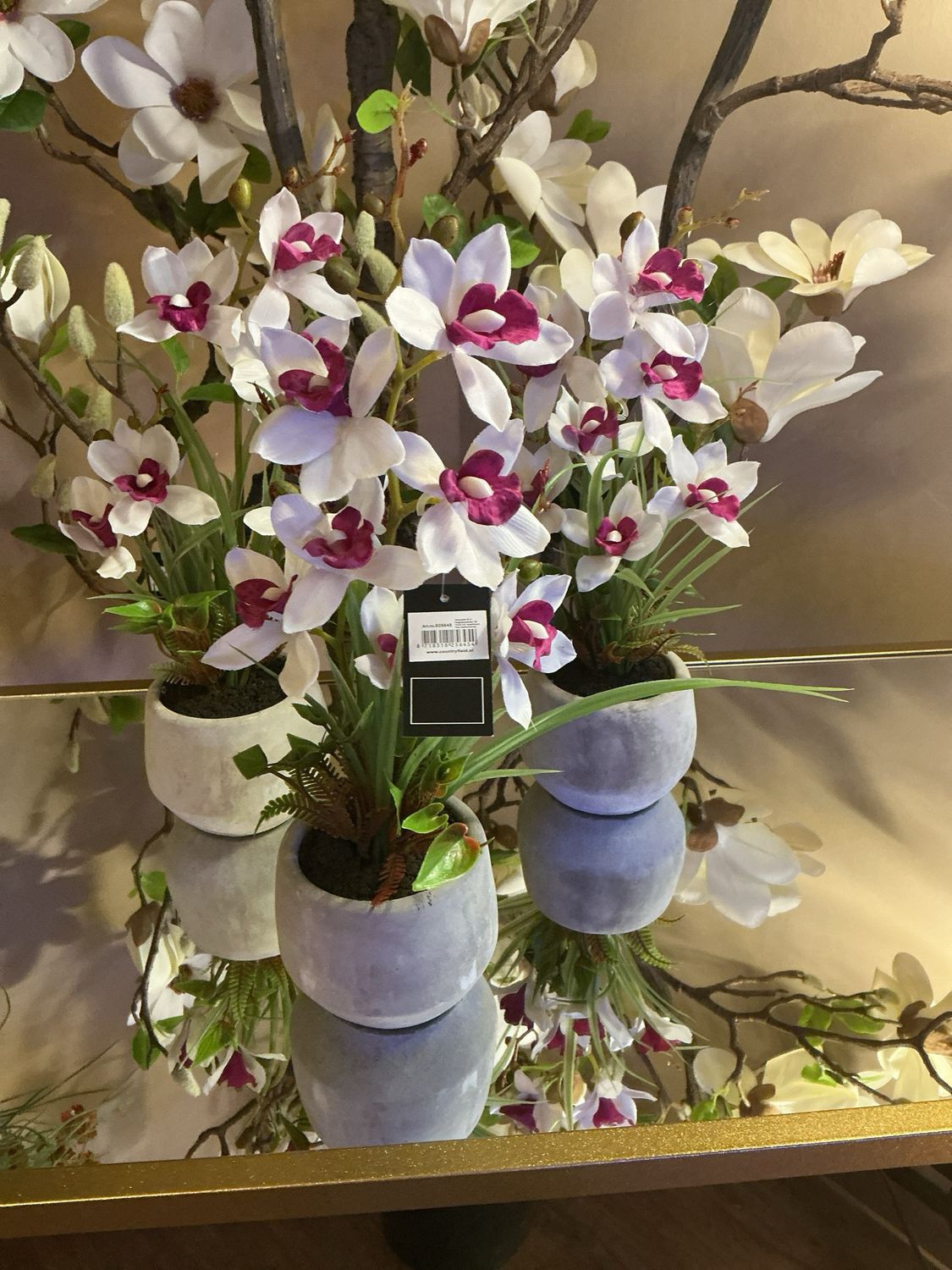 825645 orchidee/cymbidium wit-paars