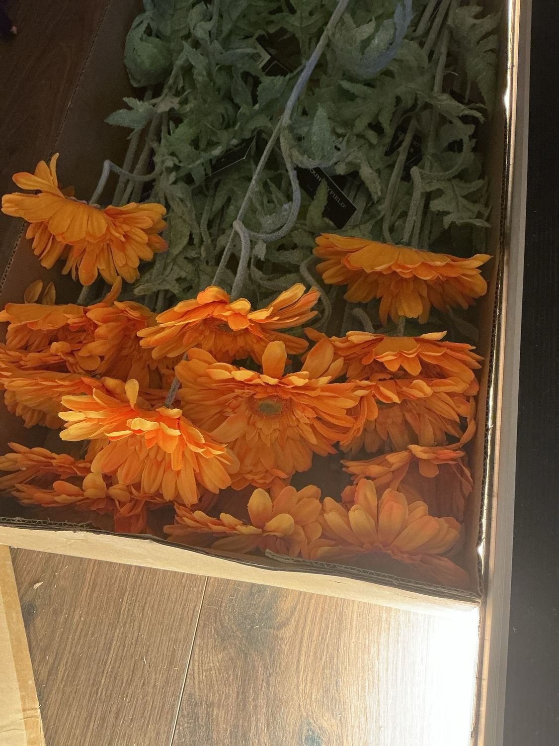 832705 gerbera oranje