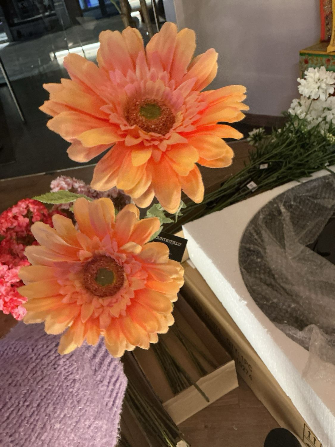 832707 gerbera zalm