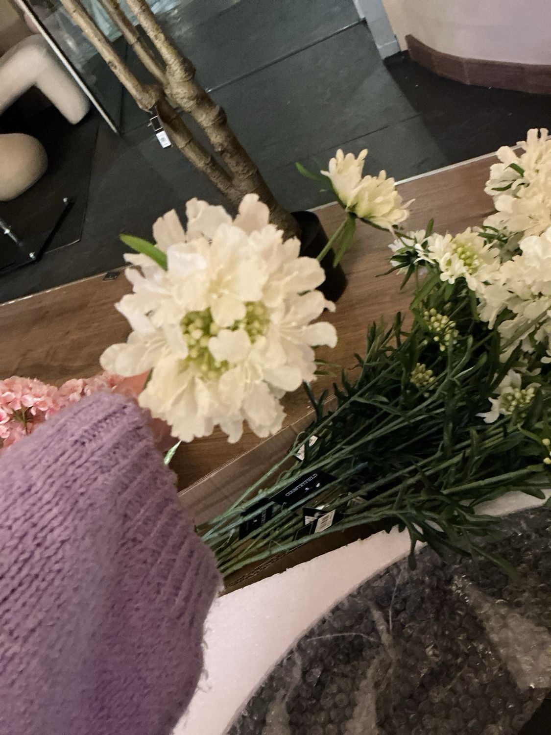 775699 bloem scabioza wit